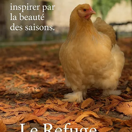 Le Refuge Des Saisons Barisis-aux-Bois